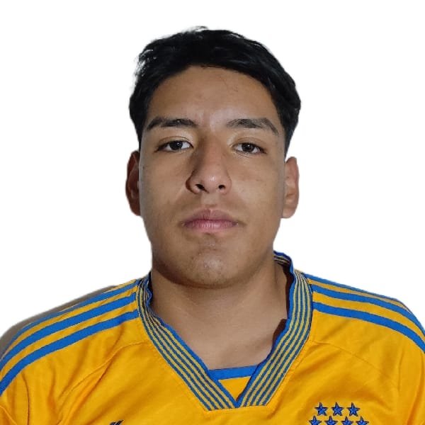 player_image