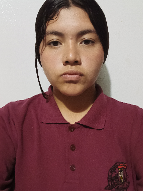player_image