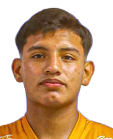 player_image