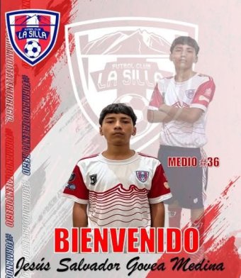 player_image