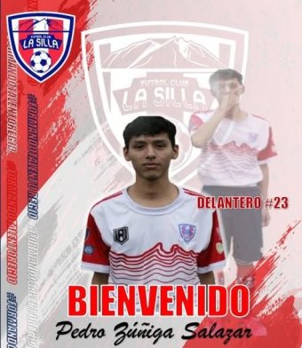 player_image