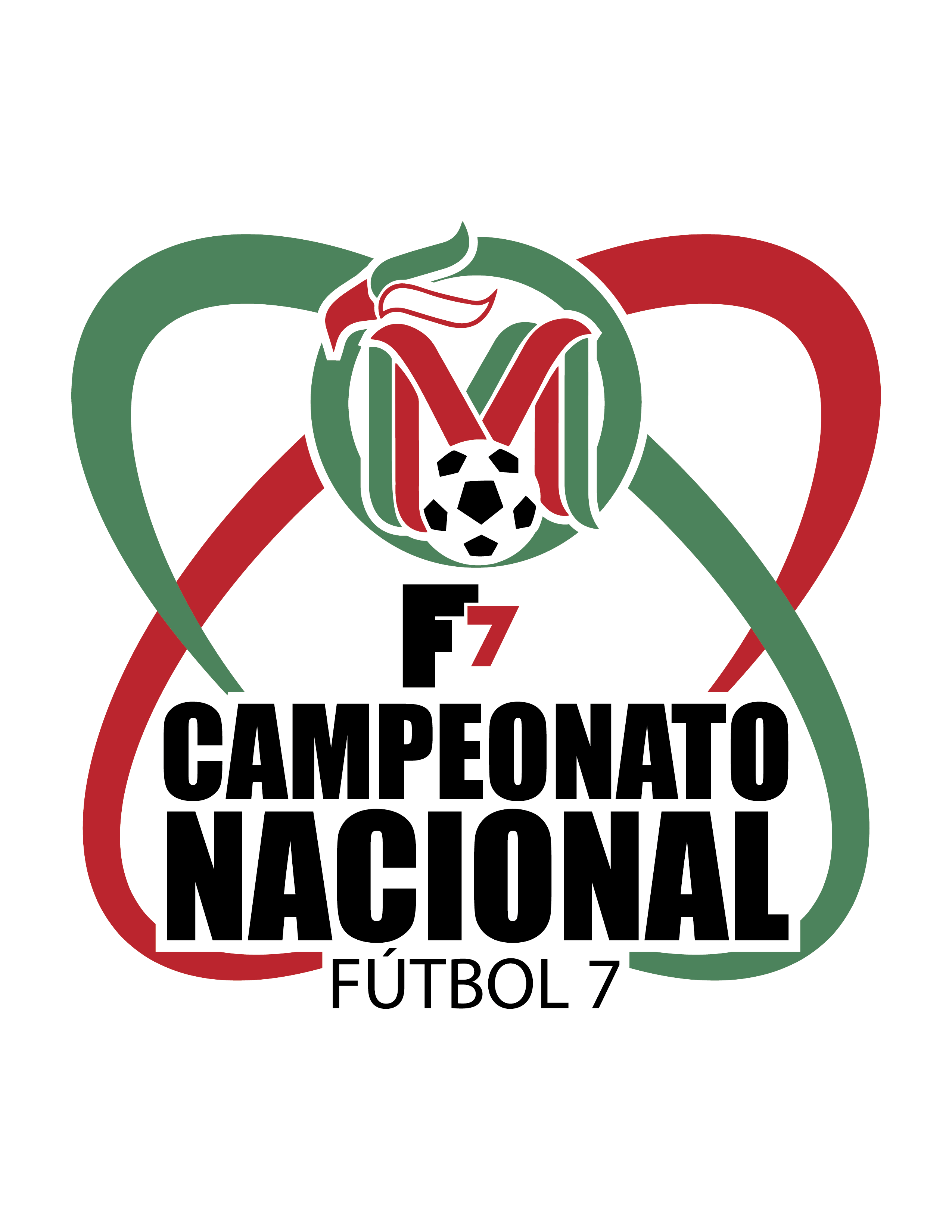 FEDERACION MEXICANA DE FUTBOL 7 FUTBOL RAPIDO Y MINIFUTBOL FMF7FR